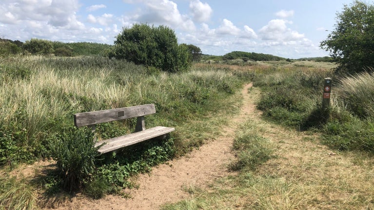 Image shows a bench on the Lost Resort trail, at NT Formby